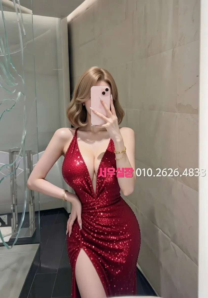 신논현 룸싸롱 프리미엄 라인업 27번 프로필